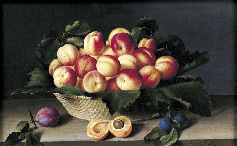 Still Life with Apricots